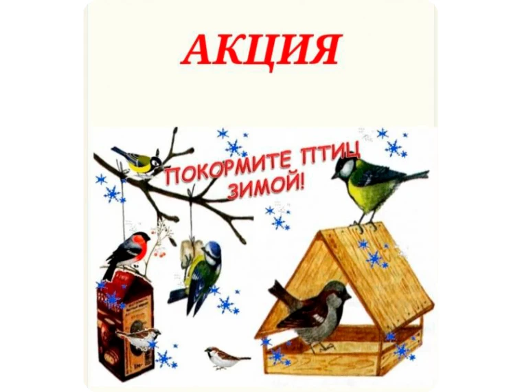 ВСЕРОССИЙСКАЯ АКЦИЯ "ПОКОРМИТЕ ПТИЦ ЗИМОЙ-2026"