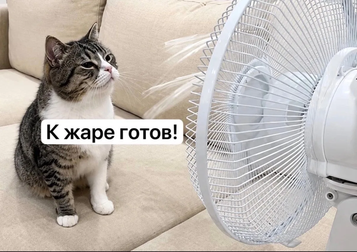 🥵 На этой неделе в Тульскую область вернётся 30-градусная жара