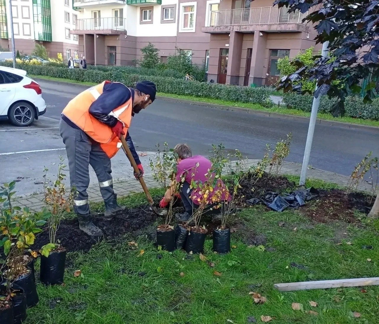 🌿 В городе стартовало комплексное озеленение в рамках муниципальной программы благоуст...