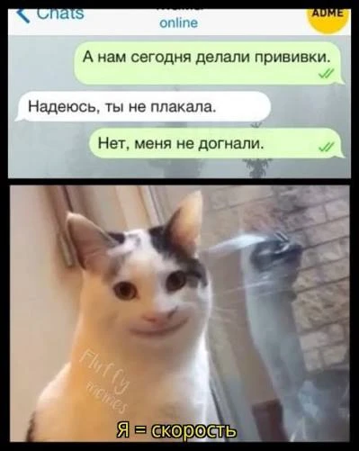 ПЕРВЫЙ МЕМНЫЙ