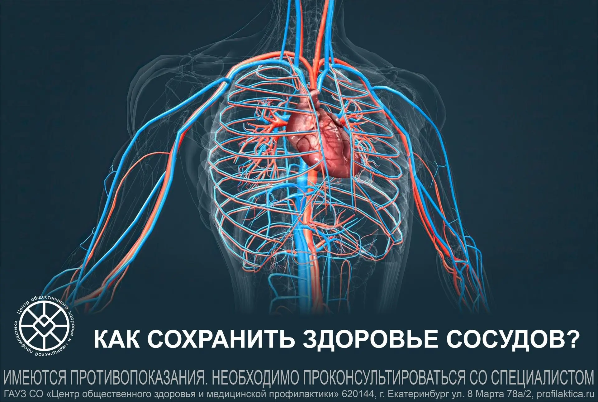 Ученые установили, что люди, в питании которых содержится достаточно витамина К, реже с...