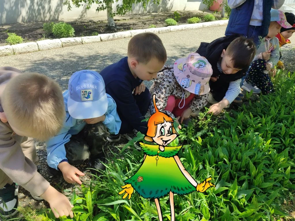 Маленькие экологи детского сада!