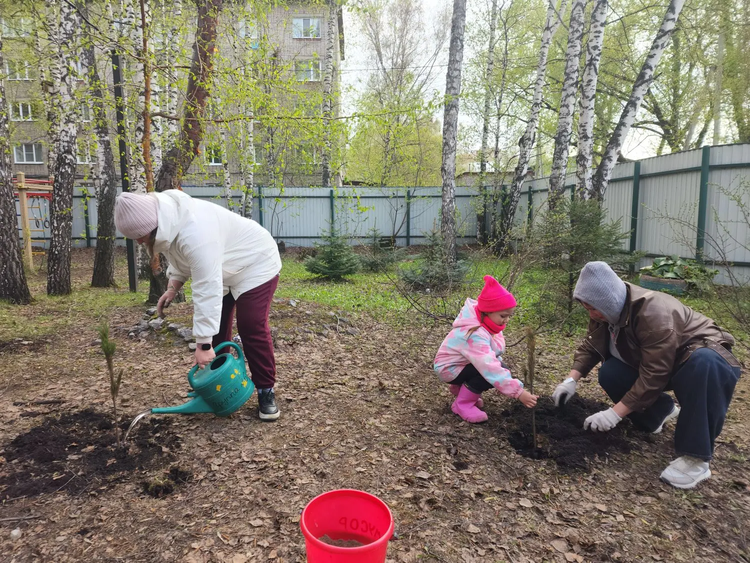 🌱 Сажаем будущее с пелёнок!