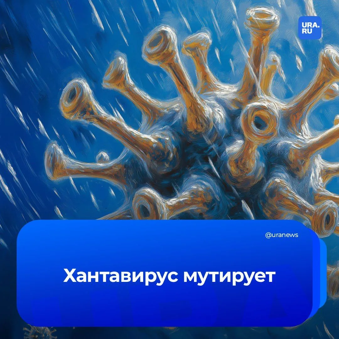 Хантавирус начинает передаваться от человека к человеку  Зампрезидента Российской академии образован