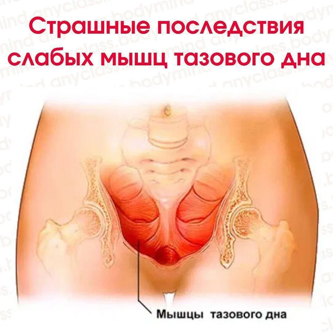 Тревожные сигналы тела: не пренебрегайте здоровьем тазового дна!
Не занимайтесь самообманом, игнорир