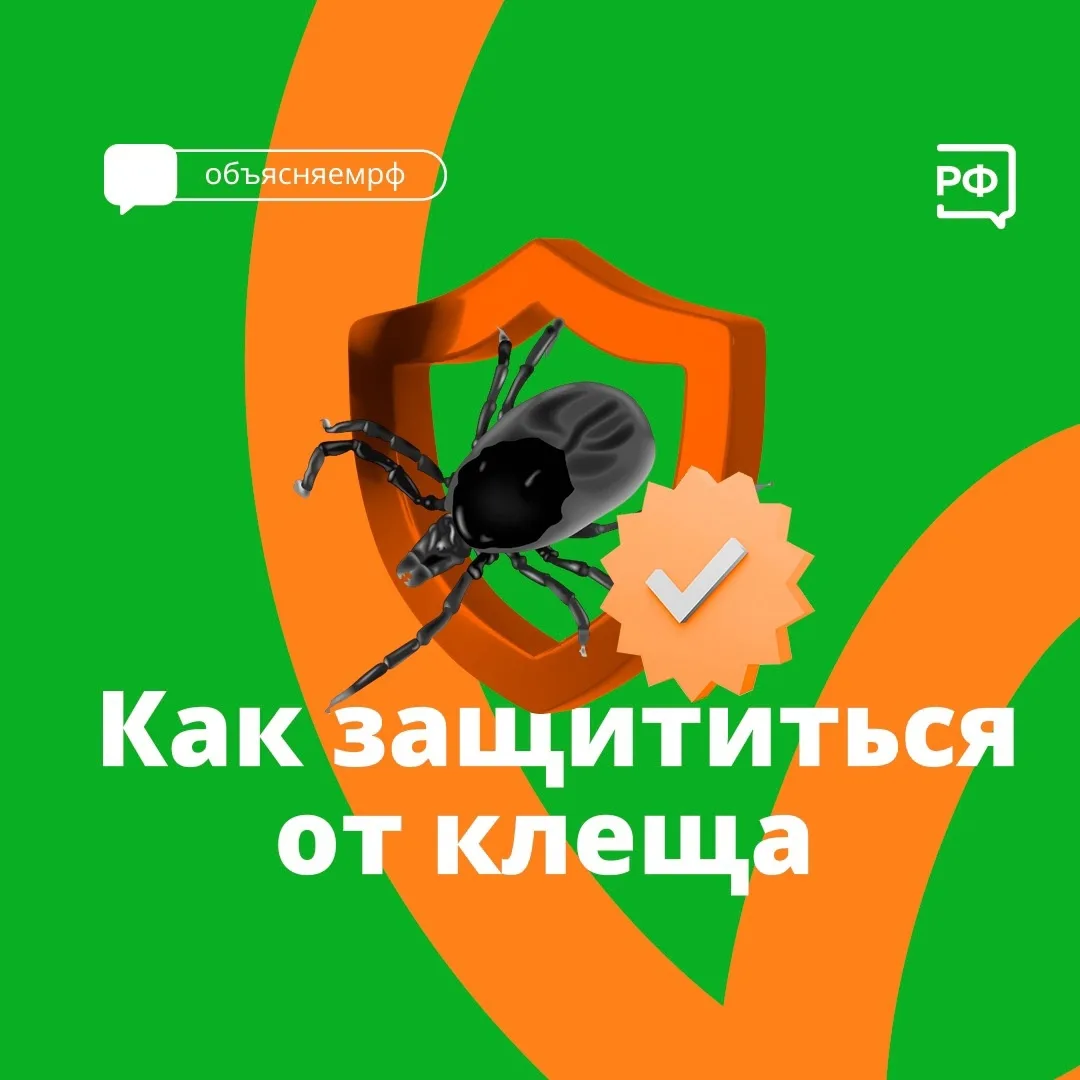 Приятный отдых на природе или дачном участке может обернуться серьезными неприятностями...