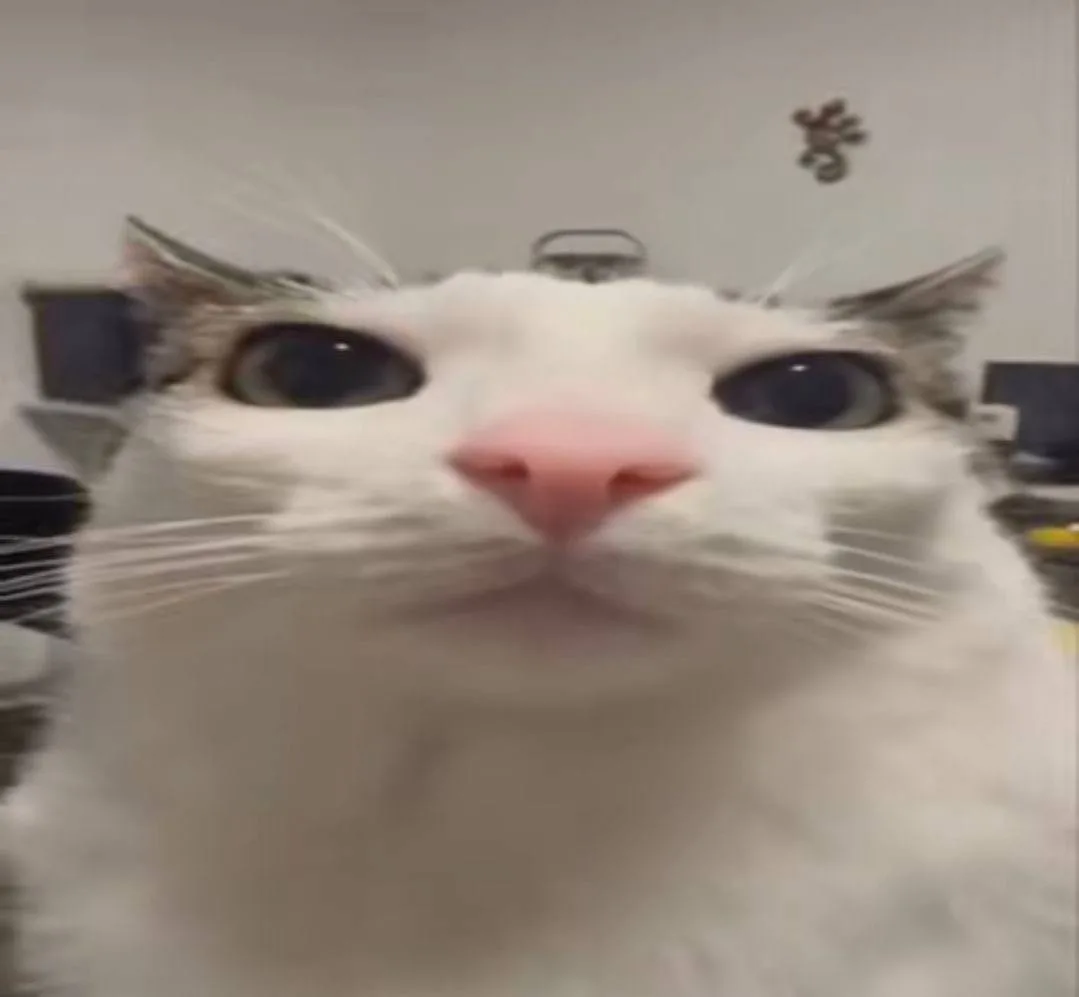 *мы бро?