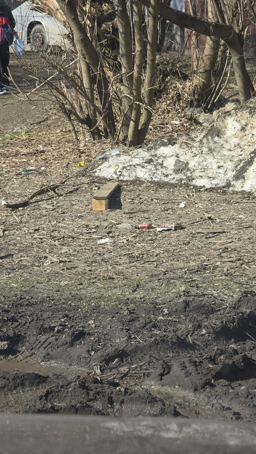 🆘 Жители Ногинска просят навести порядок во дворе дома №8а по улице Молодёжной    В редакцию обратил