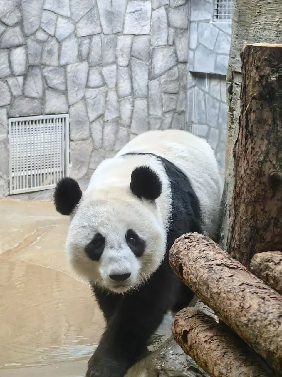 🐼 Юные биологи побывали в Московском зоопарке!   🌿Во время весенних каникул участники биологического