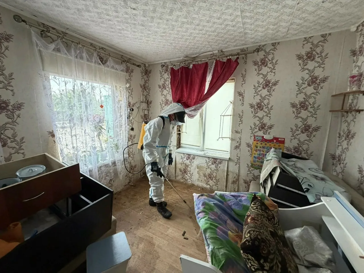 Спасцентр возвращается домой