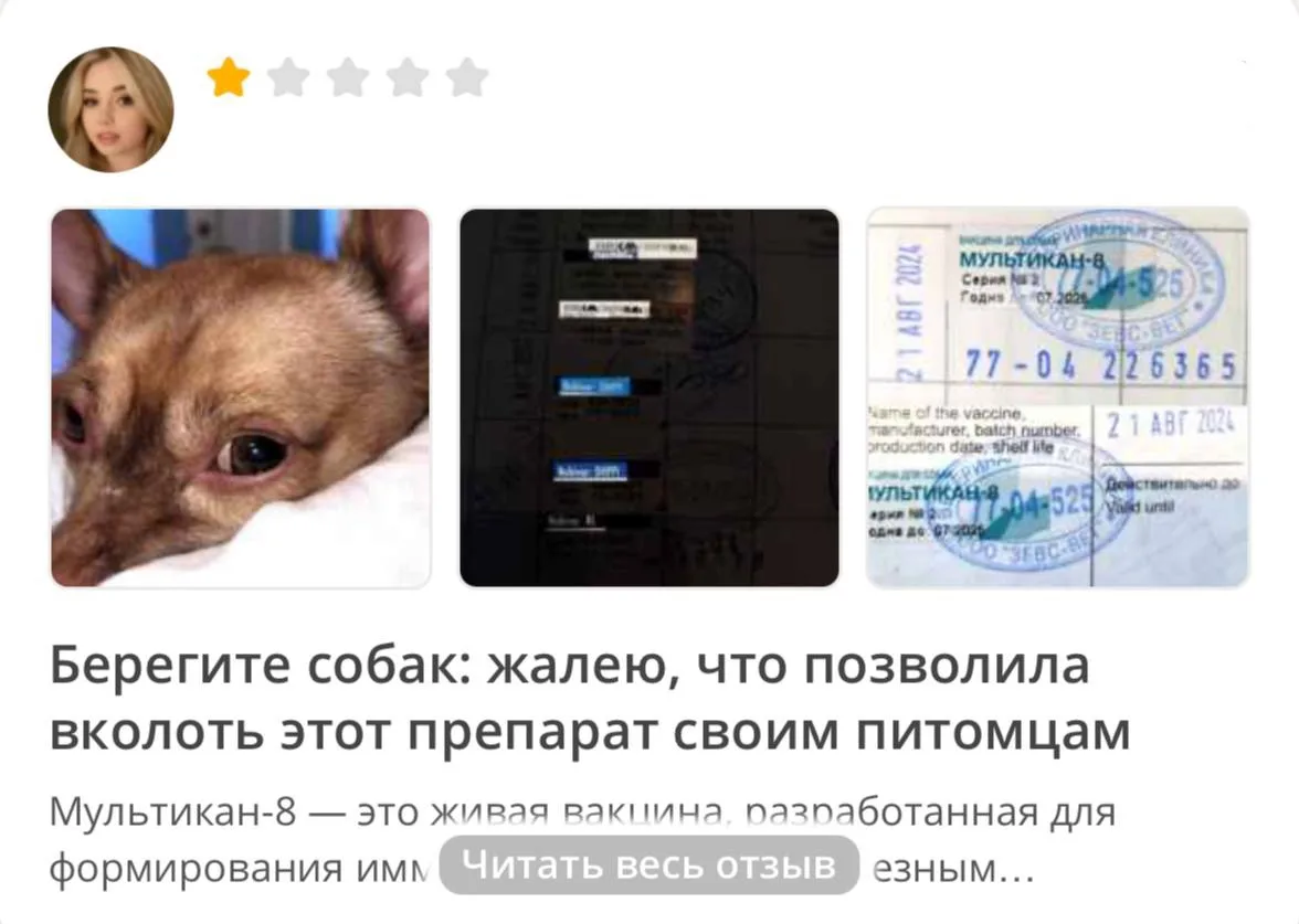 🥺 Сотни собак оказались при смерти после прививки от бешенства «Мультикан-8», — Mash