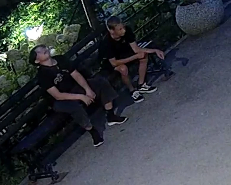 Двое мальчиков вчера рвали и пинали шапки гортензий во дворе и заталкивали их в водомат...
