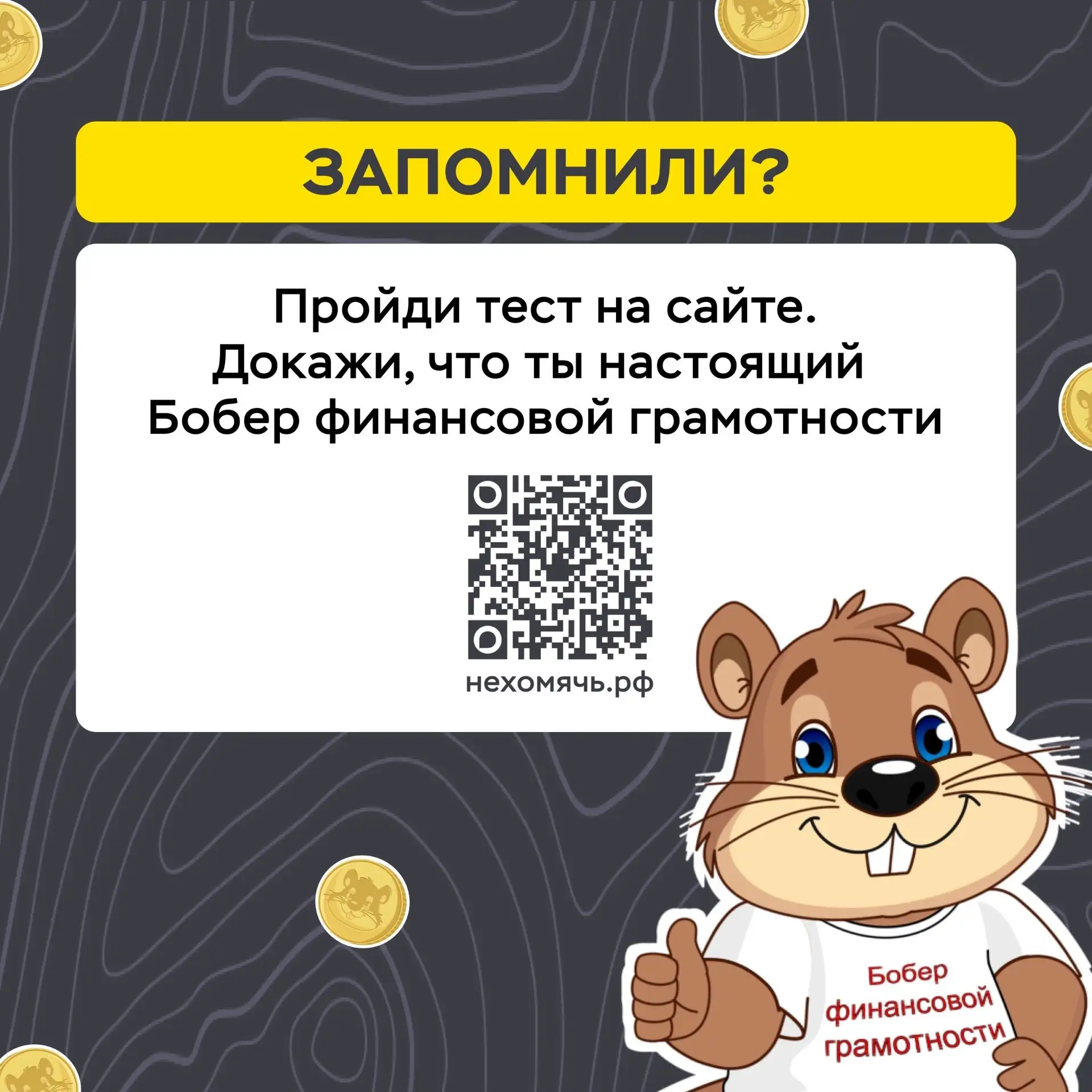 Для детей и подростков Банк России создал мультсериал про хомяка Хому и бобра Бобу, который на реаль