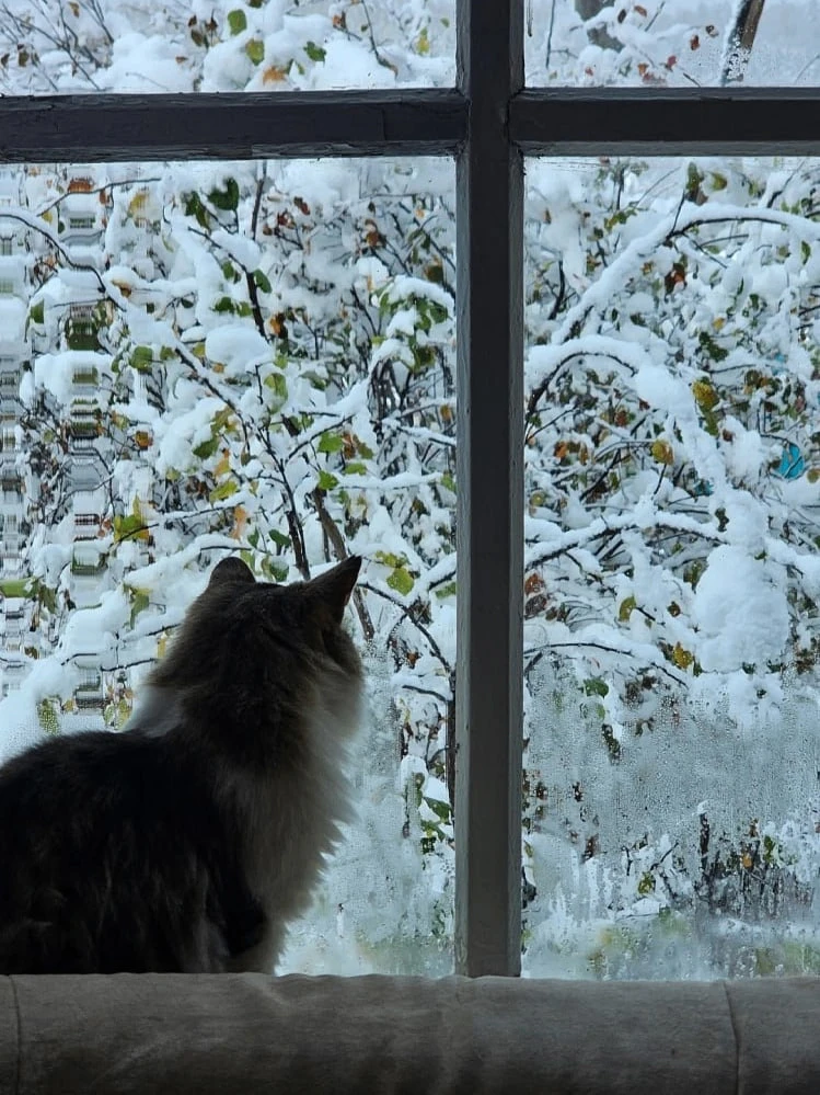 Зимняя сказка в селе Бурангулово Абзелиловского района ❄️