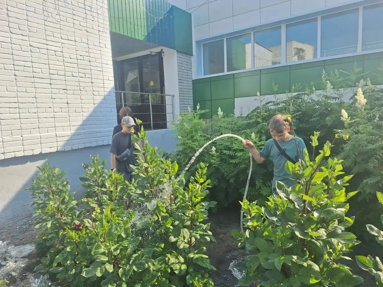 🌿 «Зелёный патруль»: работа на всех фронтах!

🌞В регионе стоит аномальная жара, но это не помешало
