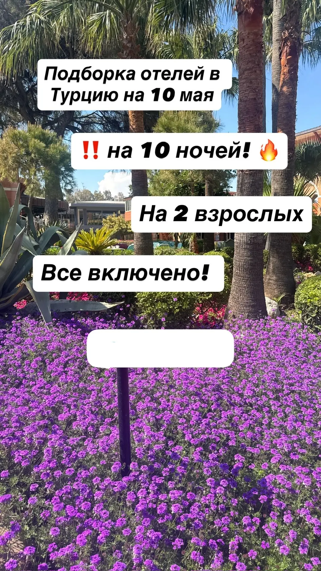 В сезон,  даже уже через несколько дней, цены будут совсем другие в Турцию.