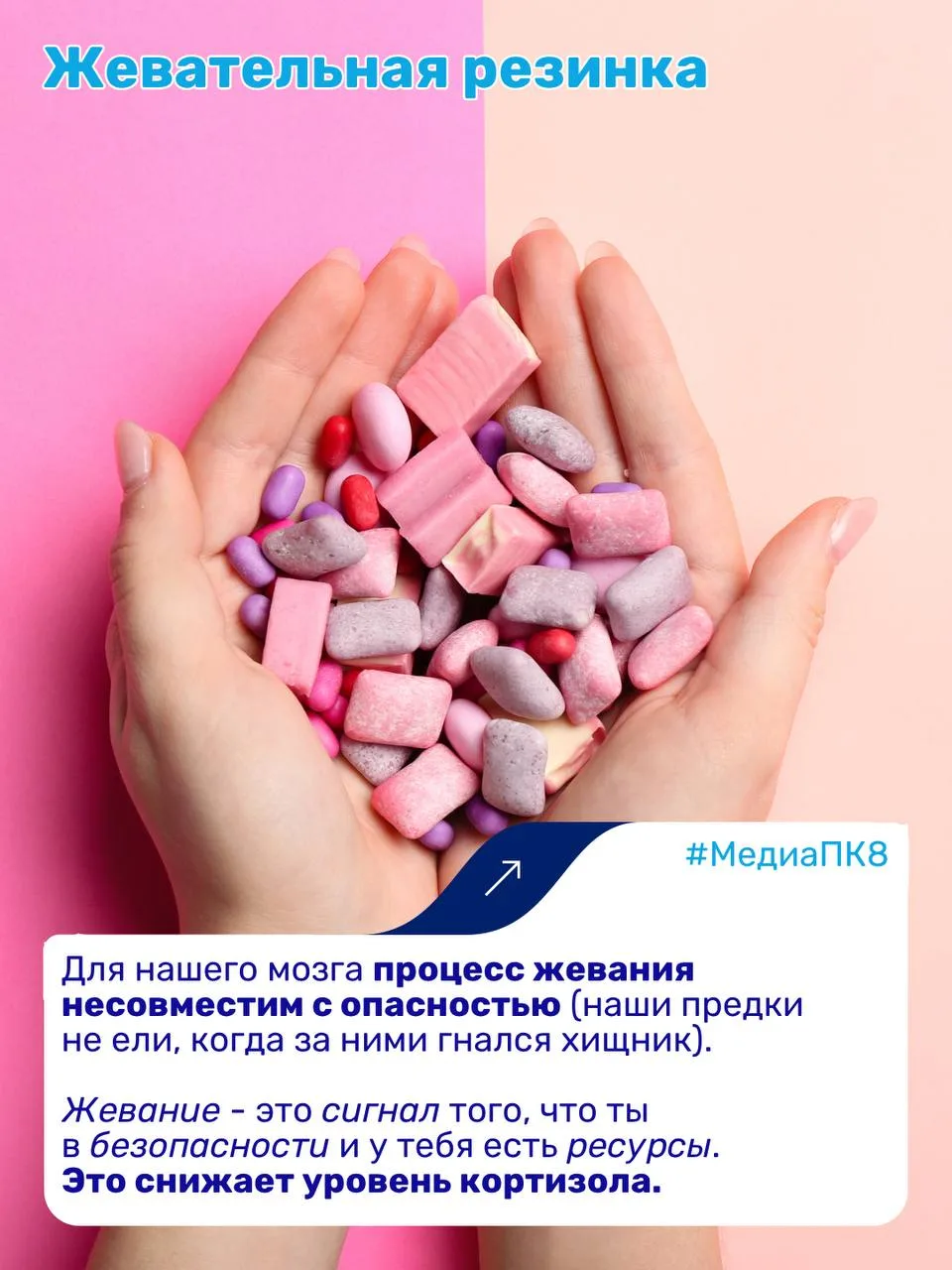 #МедиаПК8  Учеба часто становится источником напряжения для многих.   Мы создали подборку рекомендац