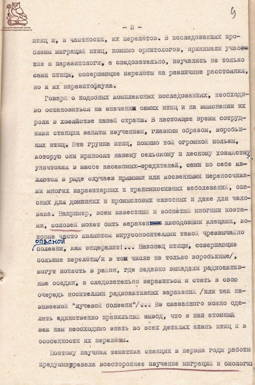 Изображение 3 к публикации «Эй, Калининград»