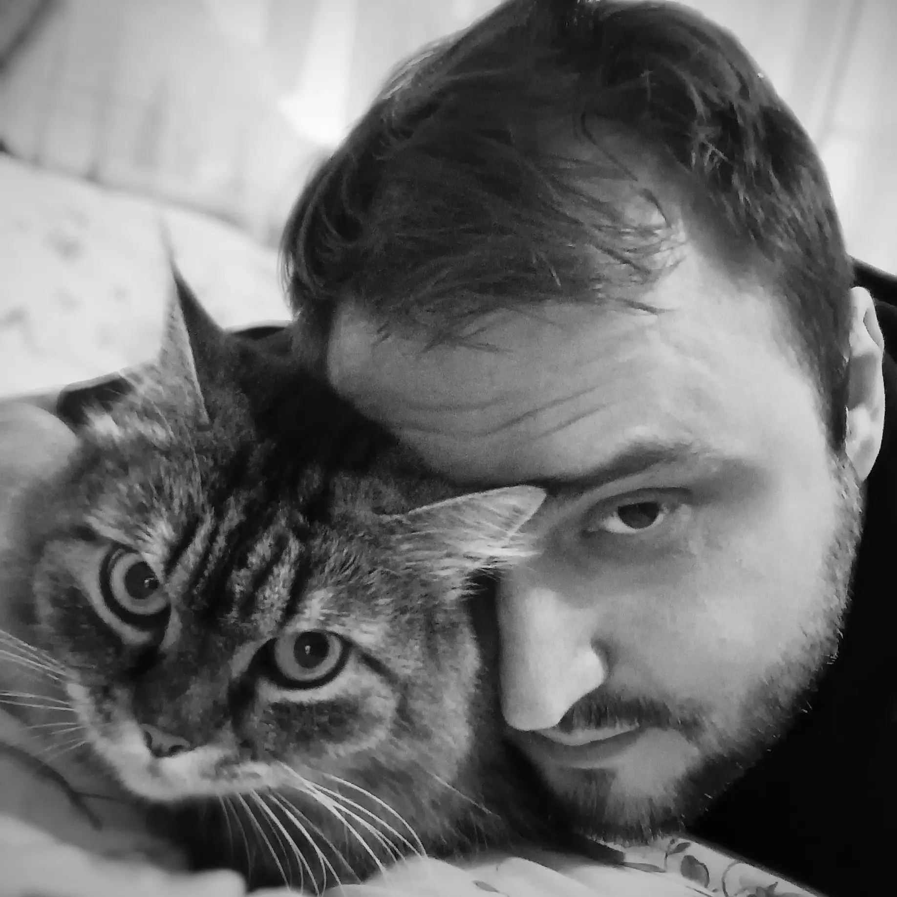 Котяры