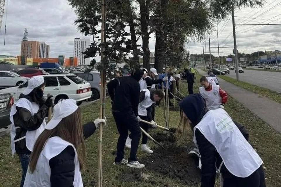 🌳 Пенза становится зеленее