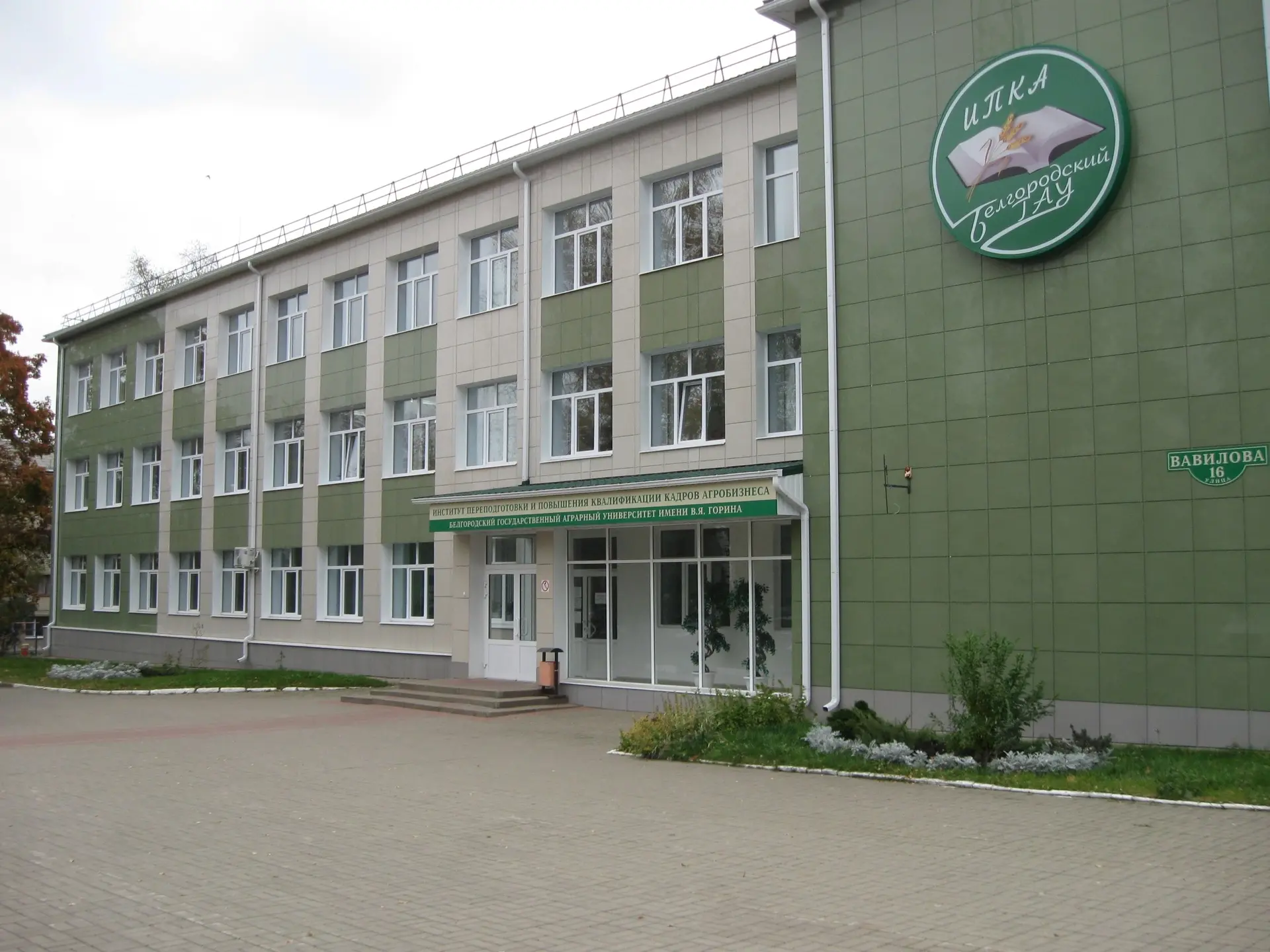 В белгородских университетах сообщили студентам, что они будут учиться очно. Об этом пи...