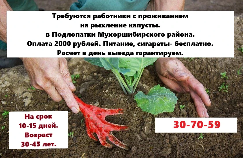 Изображение 1 к публикации «ВАКАНСИИ 03 Бурятия™»