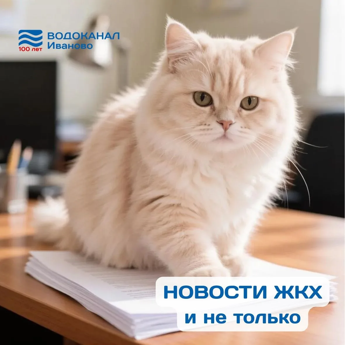 ВАЖНЫЕ НОВОСТИ ЖКХ и не только