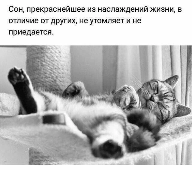 Улётные приколы - Подписаться