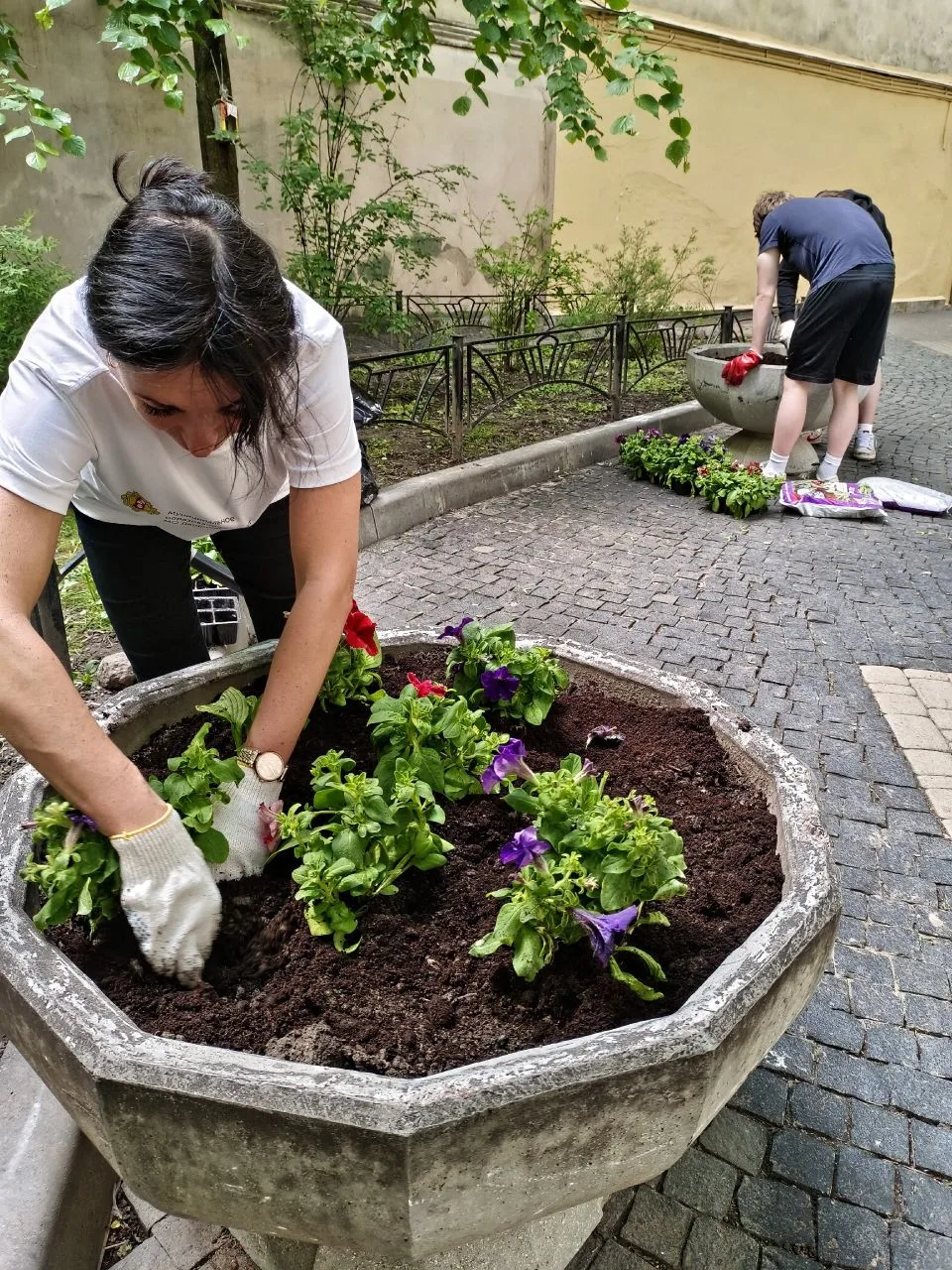 🌸Цветущий Дворцовый: в округе продолжаются работы по озеленению!