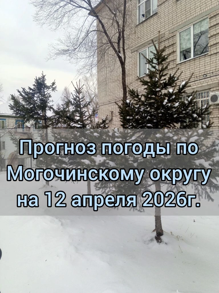 🌤️Прогноз погоды по Могочинскому округу на 12 апреля 2026 г.  🌙 Ночью без существенных осадков, ☀️дн