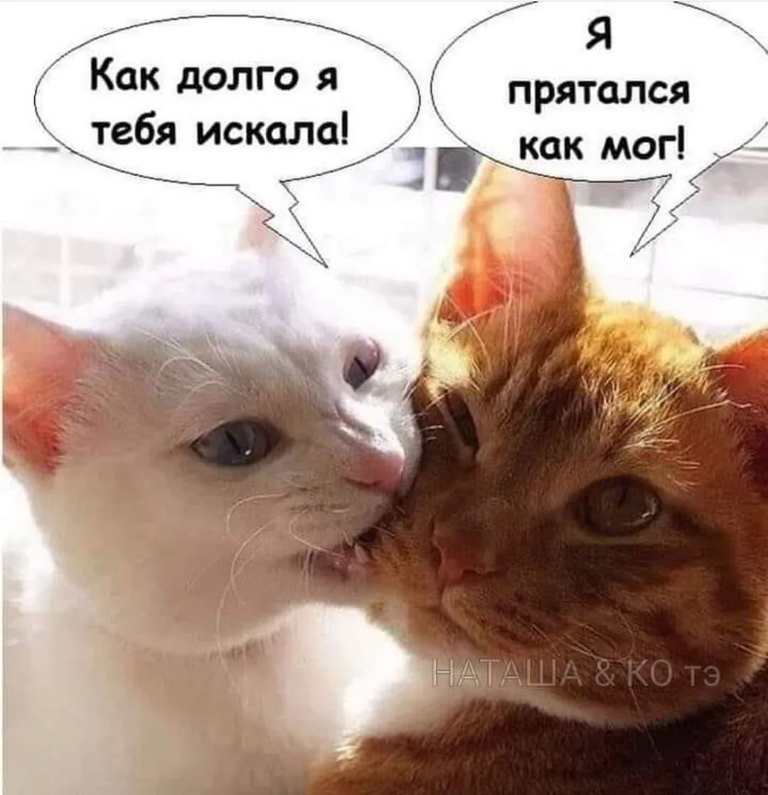 🎃 Весело у нас 🧨