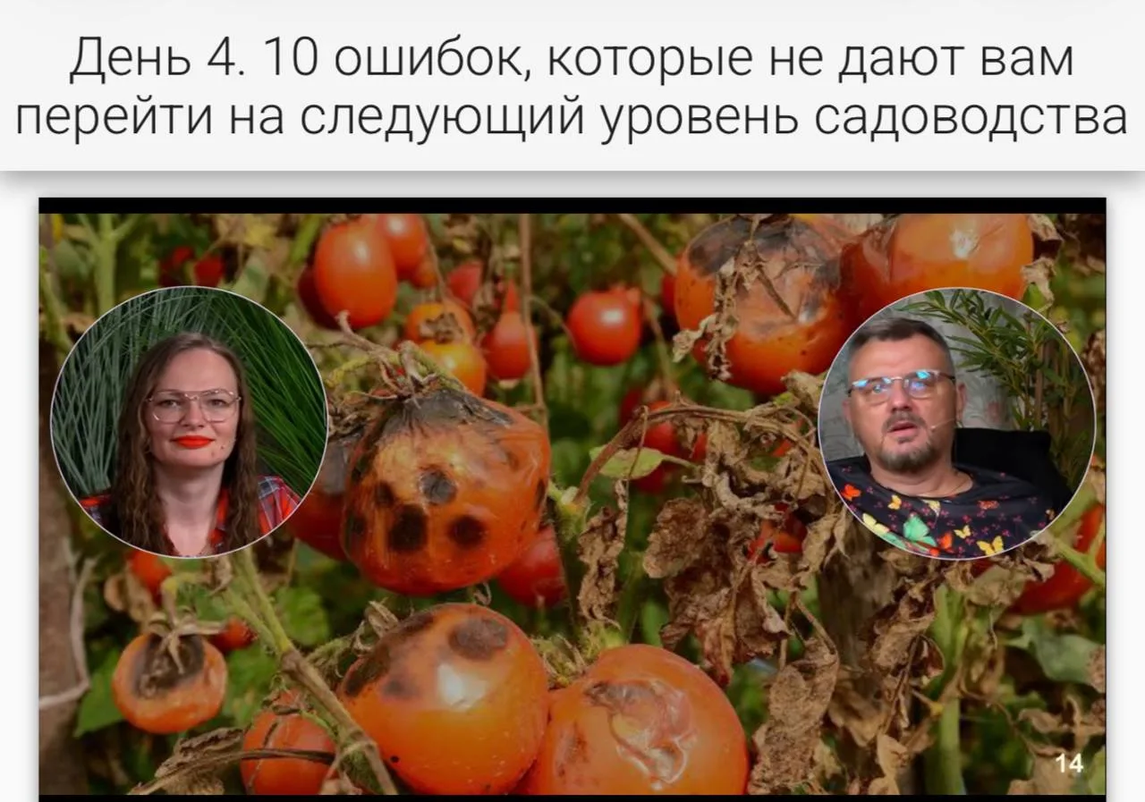 Есть ошибки, которых становятся заметны только через 2–3 года

Если не готовы терять урожай и время 