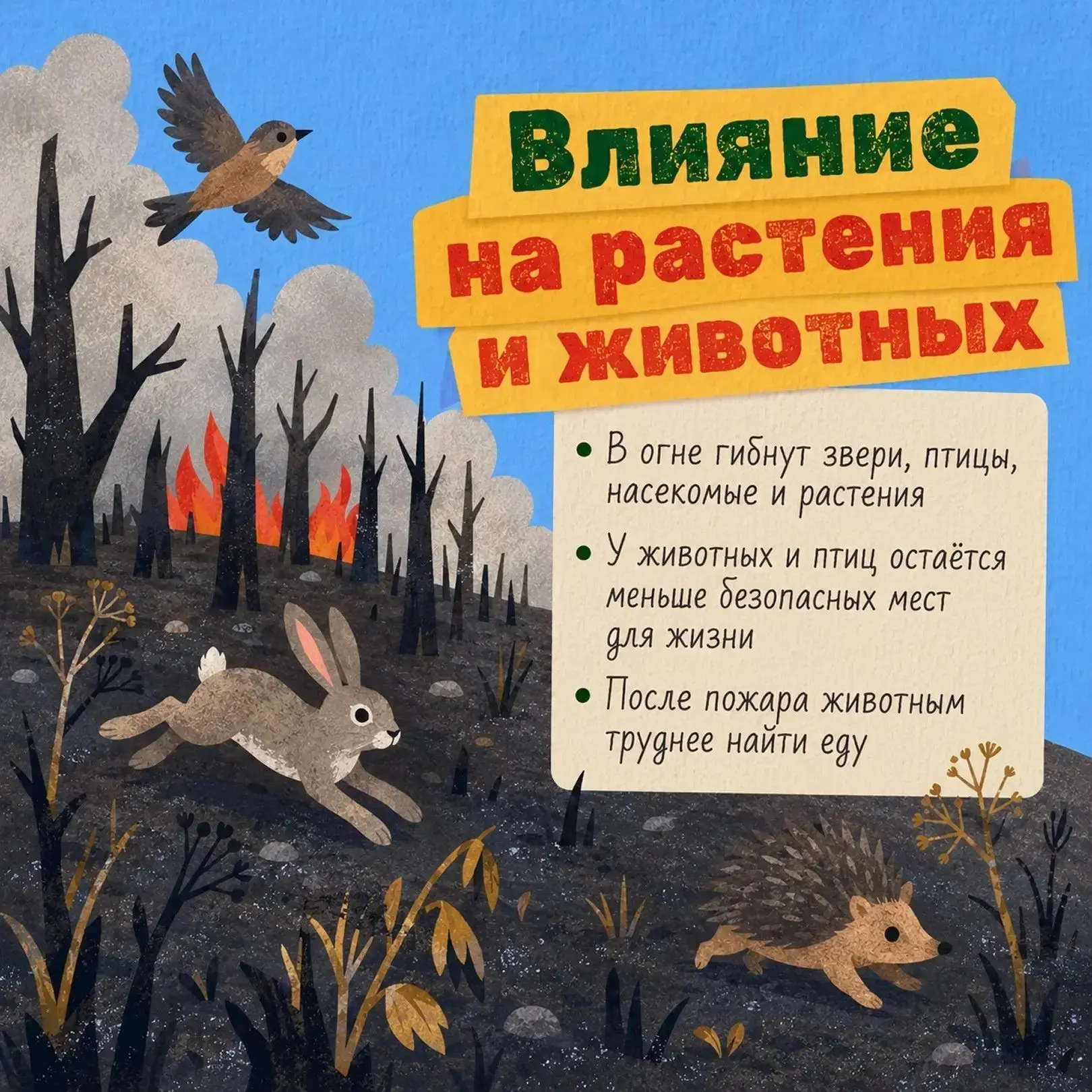 🌲 🔥 Каждое лето по вине человека огонь уничтожает сотни гектаров леса. Но не все понимают, насколь