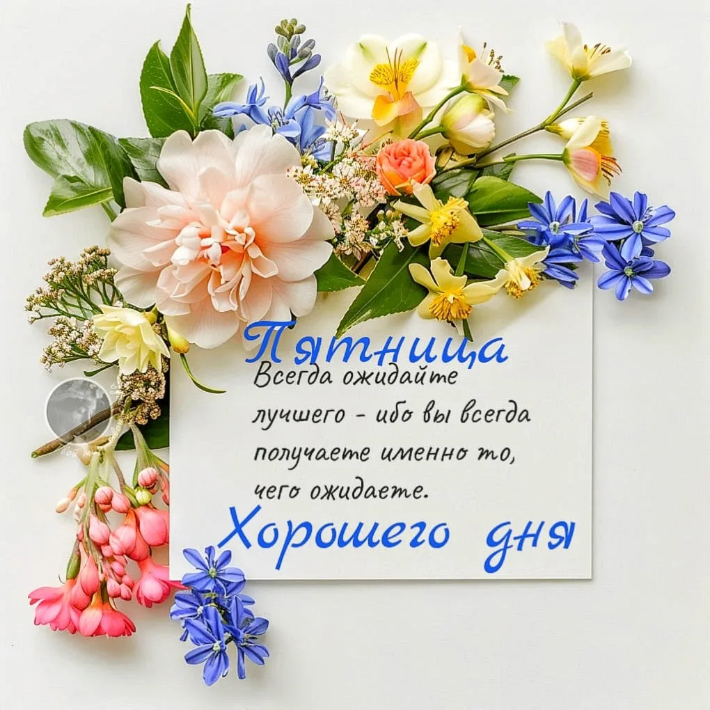 🌺Хорошего дня пятницы!