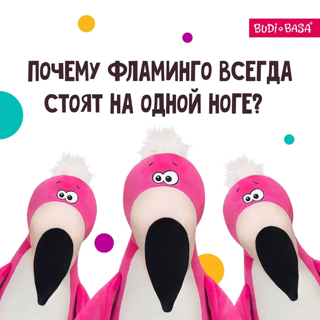 Фламинго Руж рассказал нам свой страшный секрет👀
