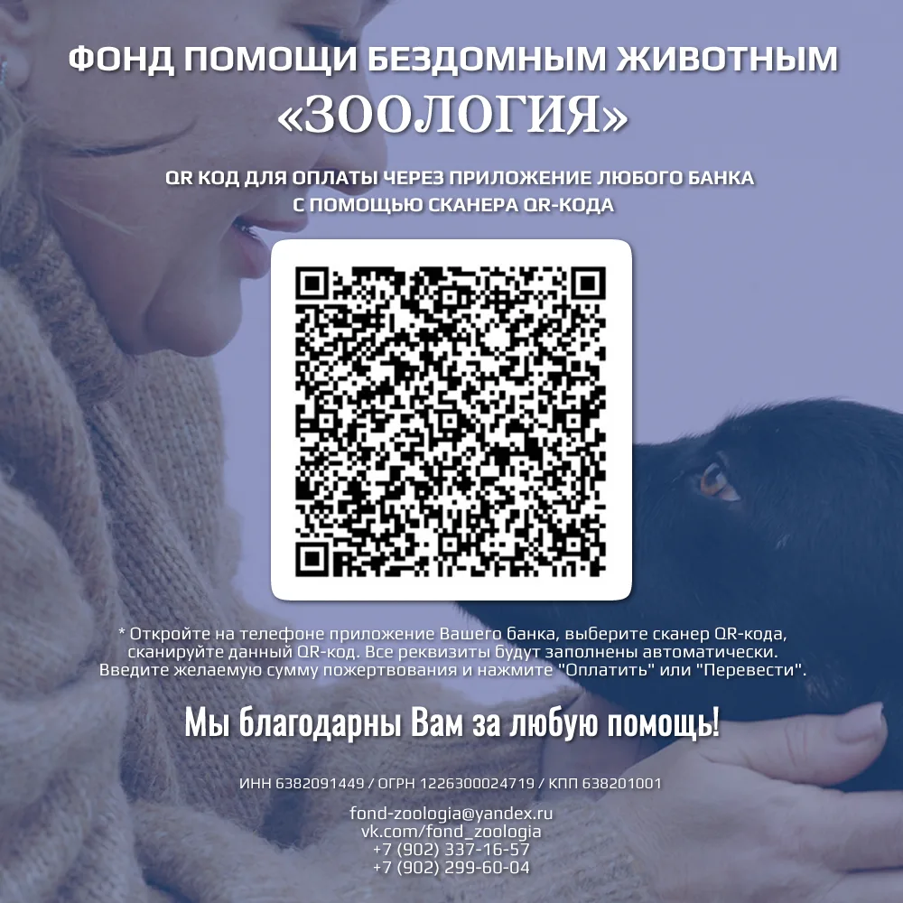 🔨 Дневник Большой Перестройки: неделя №4+. Мы строим двухэтажный дом для кошек! 🏛