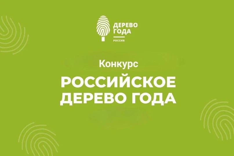 📢 Тульский дуб может стать «Российским деревом года — 2026»