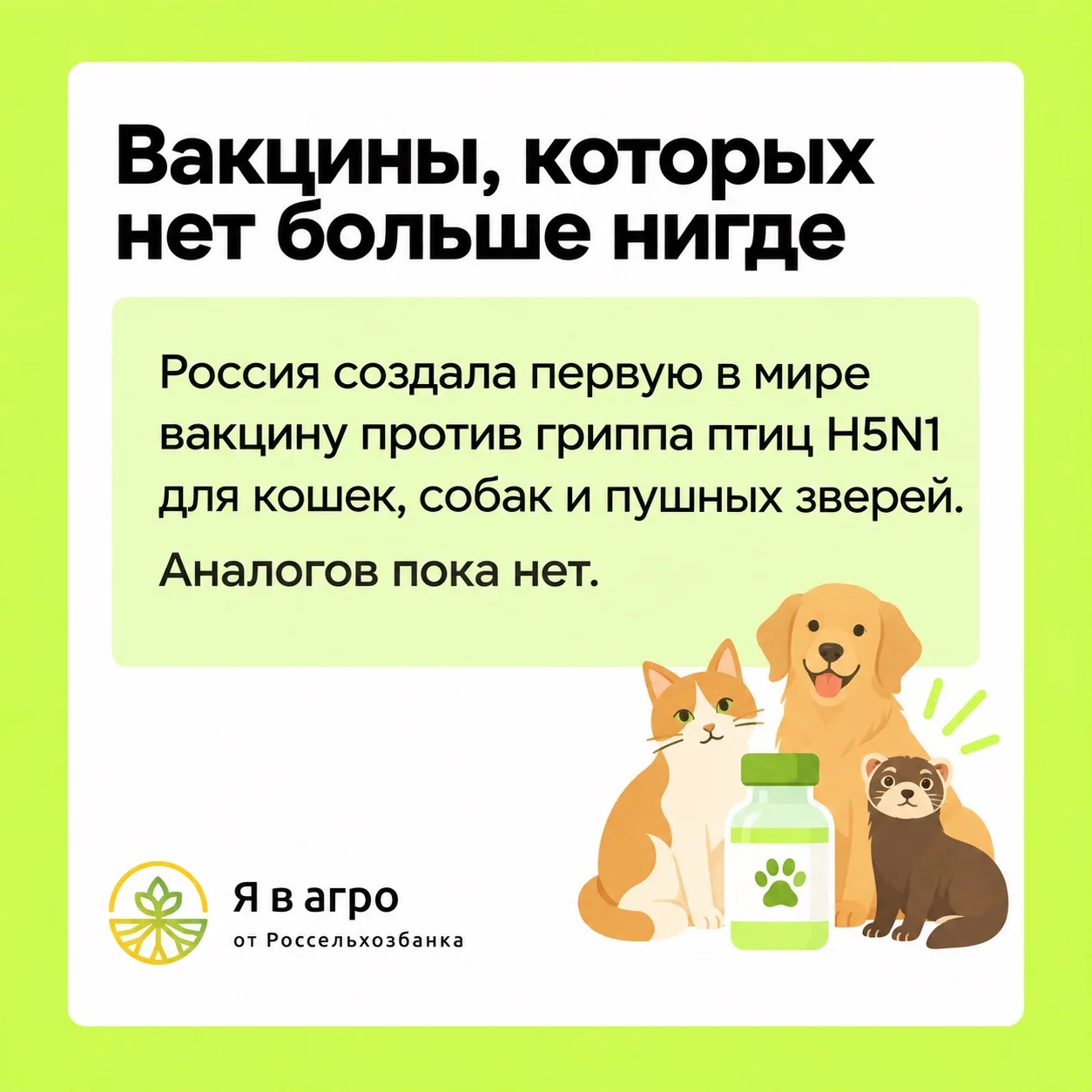 🔥Сегодня отмечается Всемирный день животных!