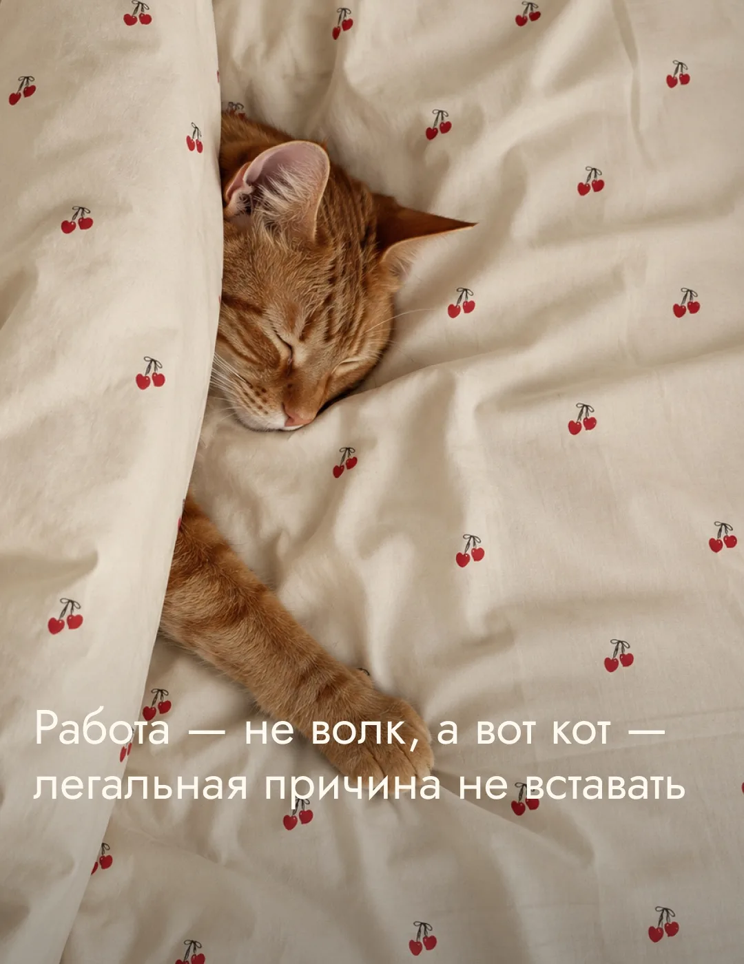 Продолжаем пословицы в духе сотрудников COZY HOME 😅