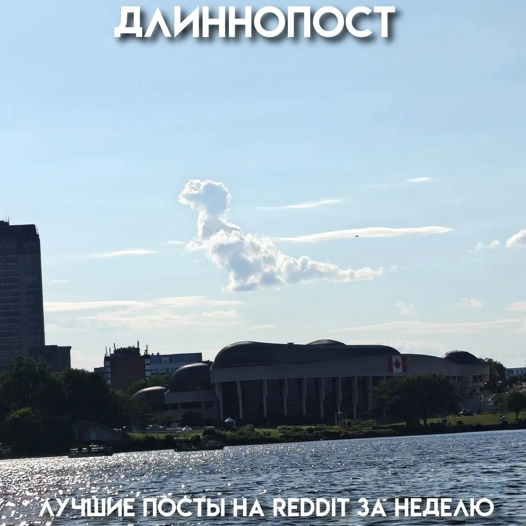 Тату-мастер превращает больничные будни в праздник, родители разводятся после 48 лет брака из-за сче