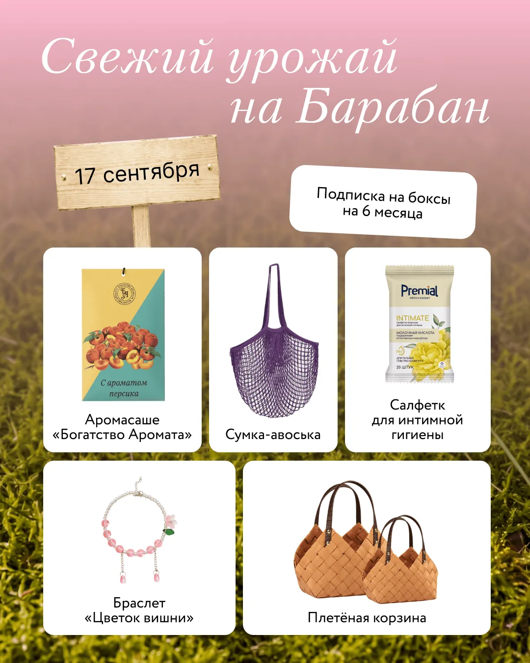 Что сегодня на грядке — 17 сентября? 🧑‍🌾