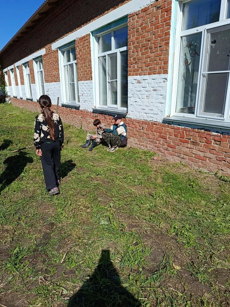 🌱 Наш школьный огород: от семечка до урожая! 🌱

В нашей школе произошло важное событие — мы заложи
