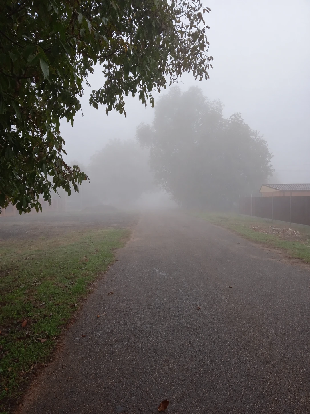 🌫️ Каневский район накрыл туман