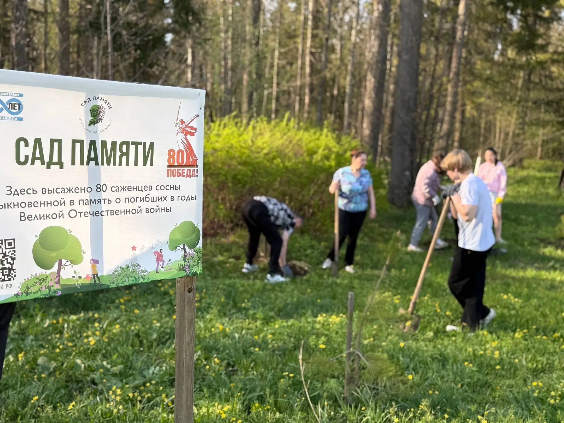 Девятиклассники из Гимназии приняли участие в Международной акции «Сад памяти».