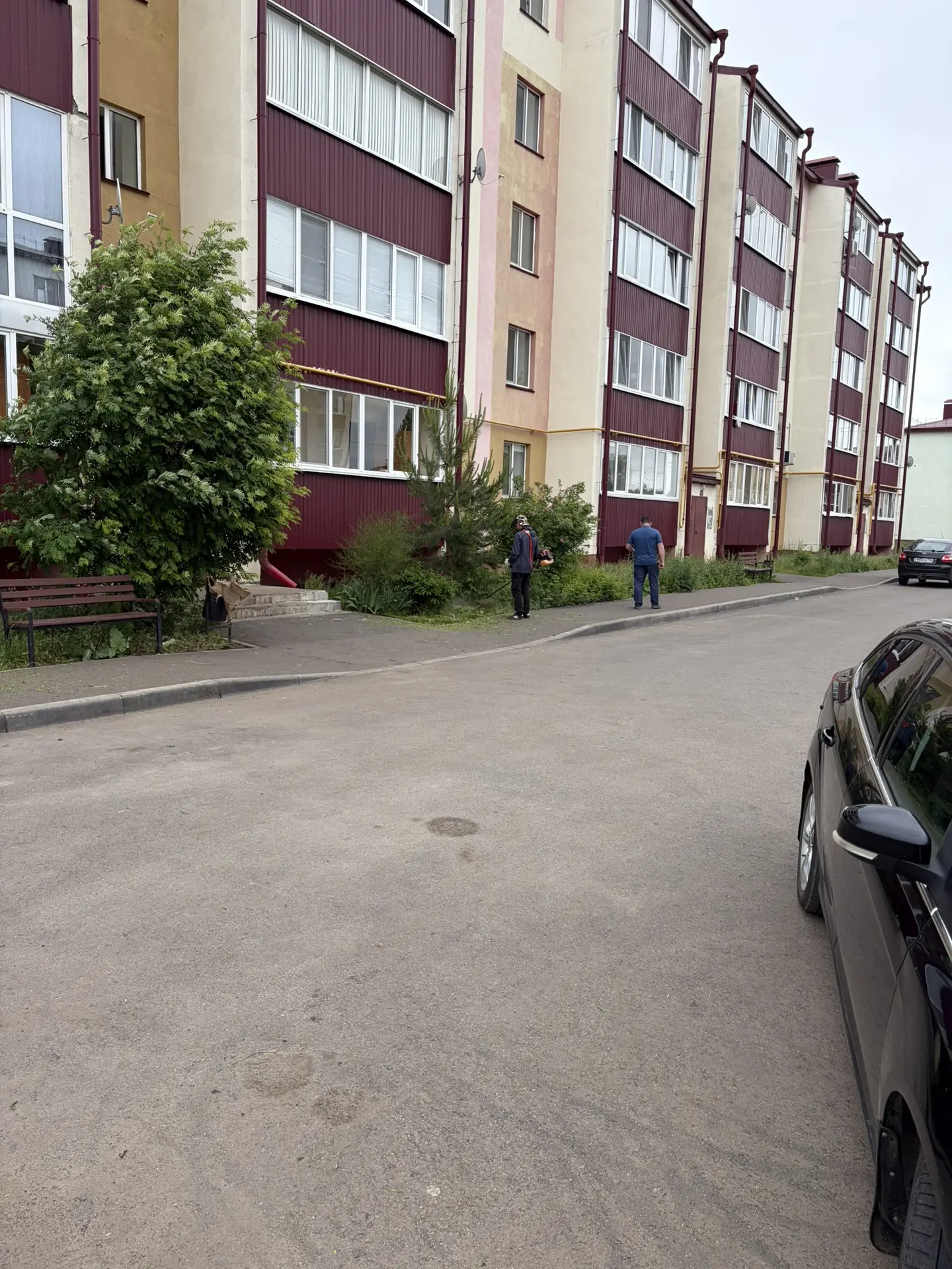 Покос травы.