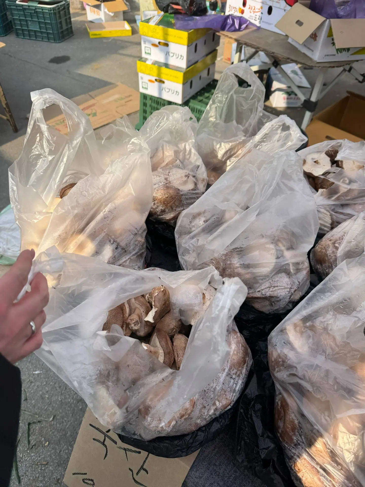 У нас в городе есть рынок, который работает каждые пять дней.  Я сегодня купила там только хлеб, пот