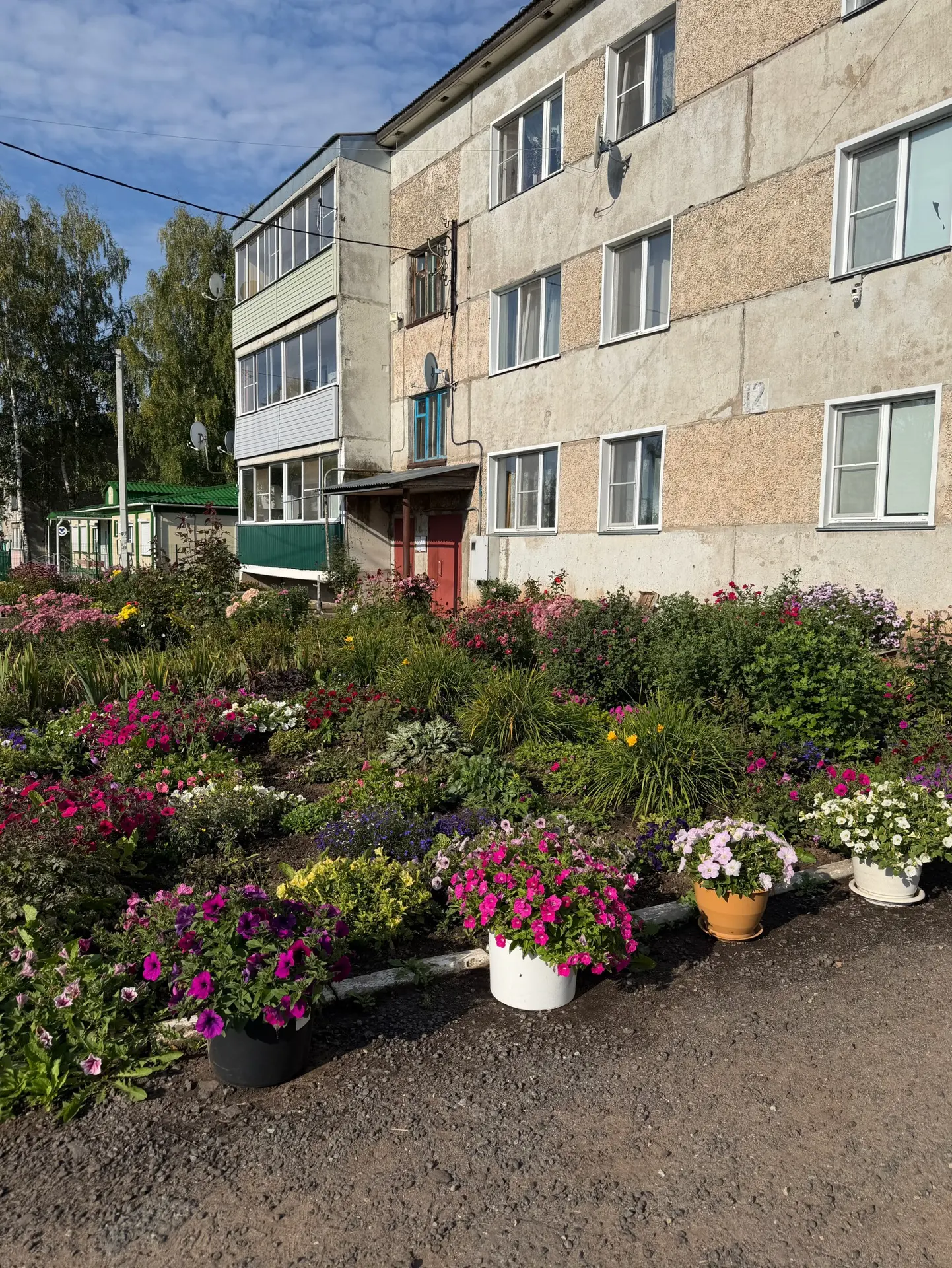 В Искре почти у каждого дома такая красота 🥰