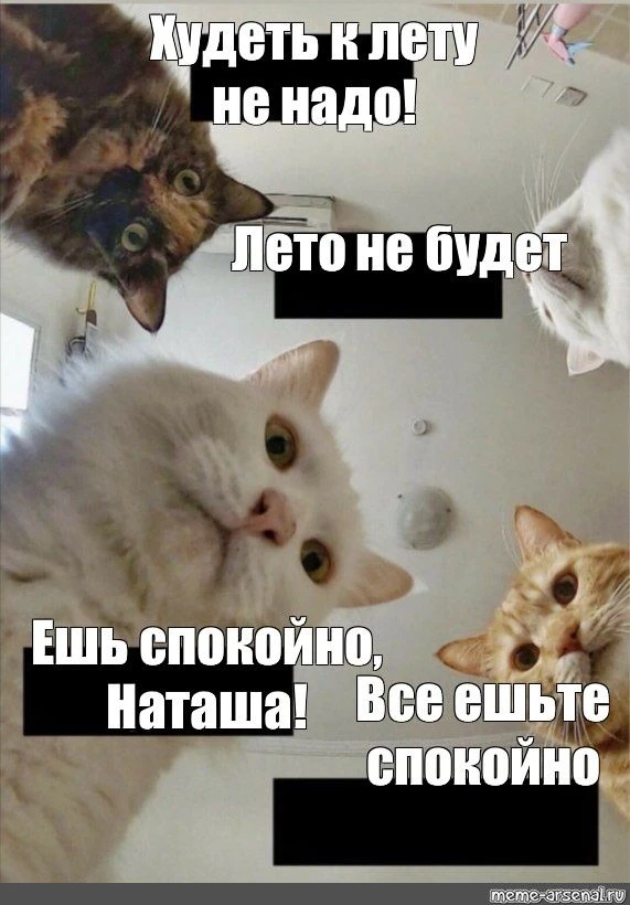 Коротко обо мне😁