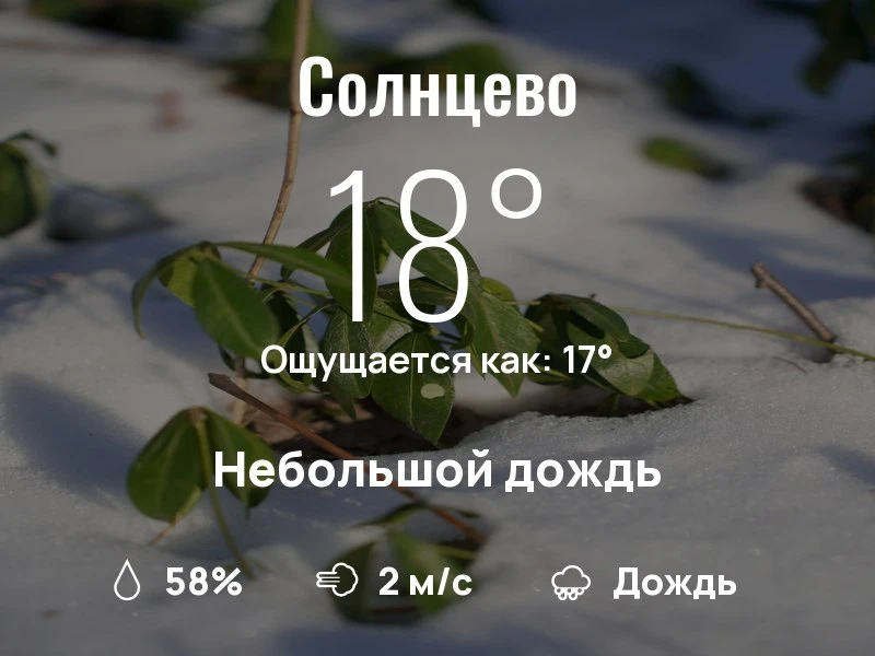 Что с погодой в Солнцево?