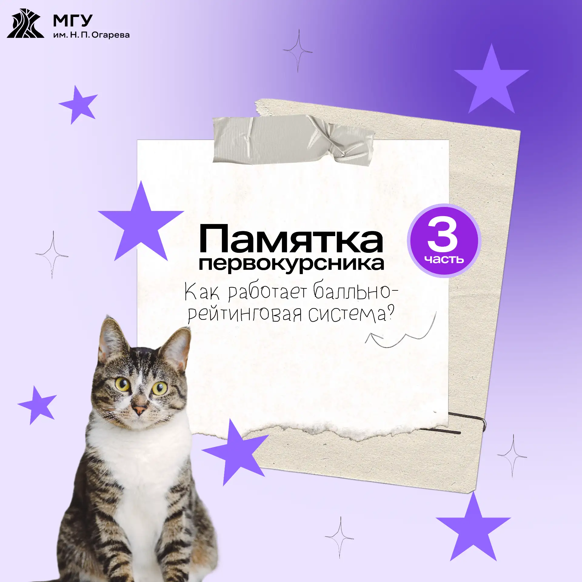 Балльно-рейтинговая система. Что это? 😳